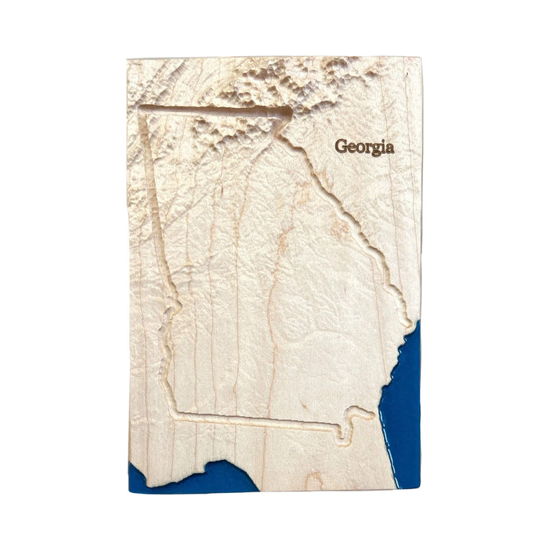 Georgia Topographic 3D Relief State Map | Georgia Map Gift